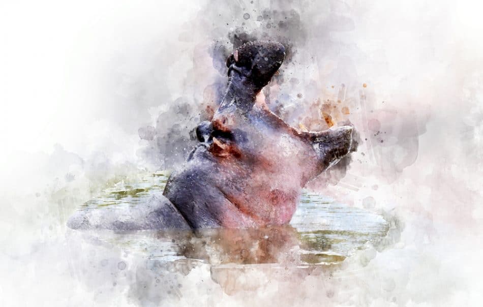 Hippo - watercolor illustration portrait