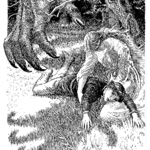 illustrations from Phantastes by George MacDonald